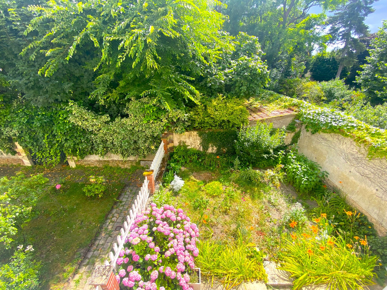 Image_1, Appartement, Versailles, ref :905 R