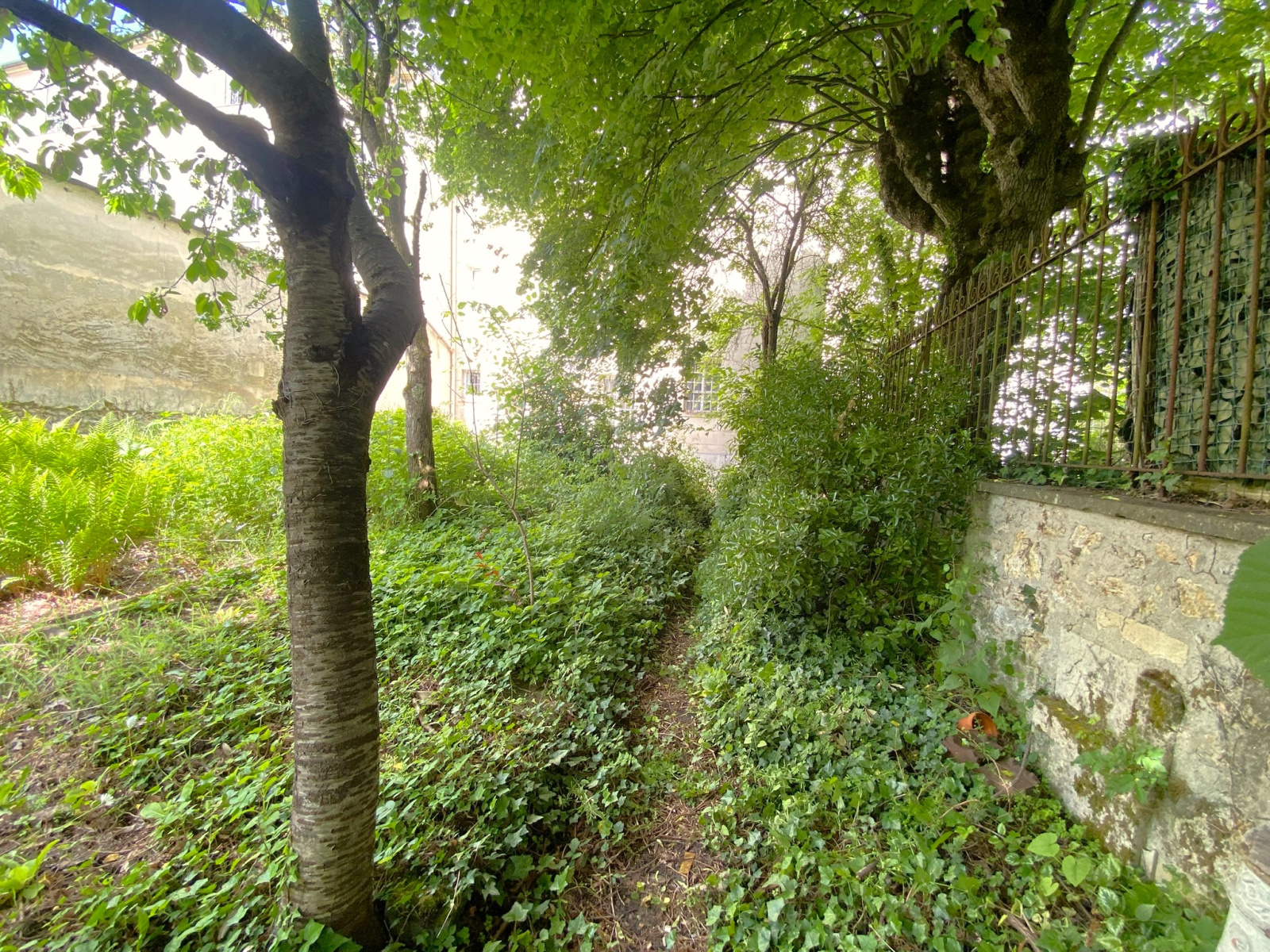 Image_6, Rez de jardin, Versailles, ref :917
